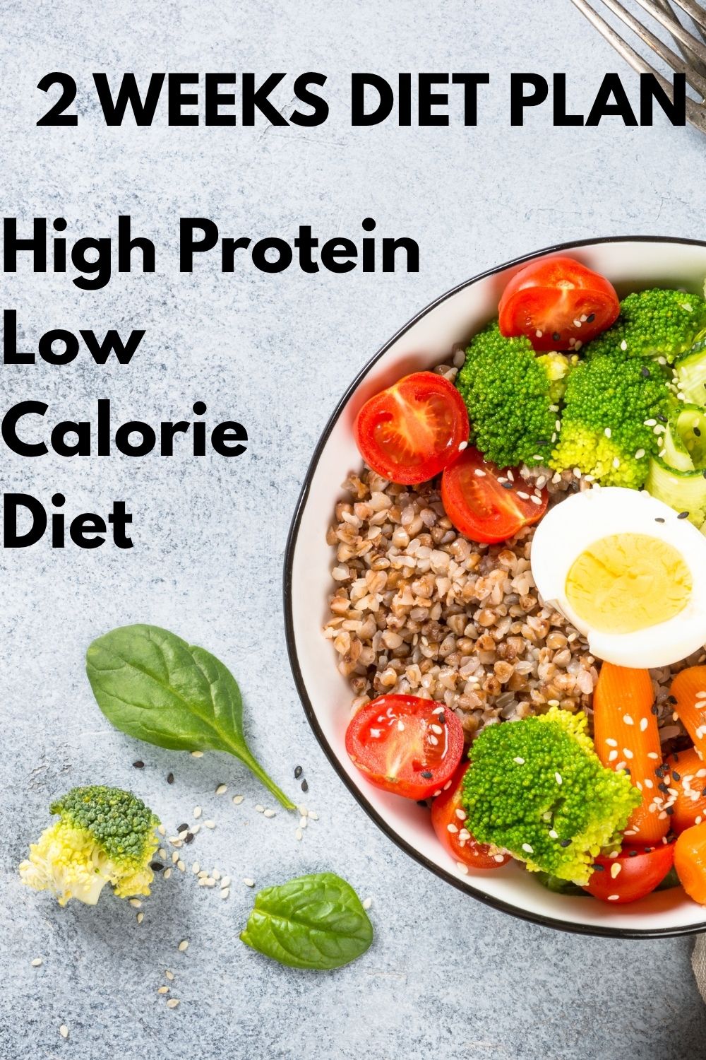 2 Weeks High Protein, Low Calorie Diet Plan